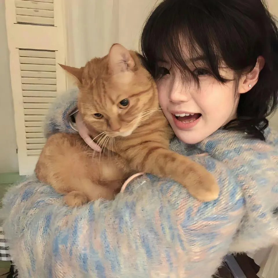 永远的三丁目的夕阳